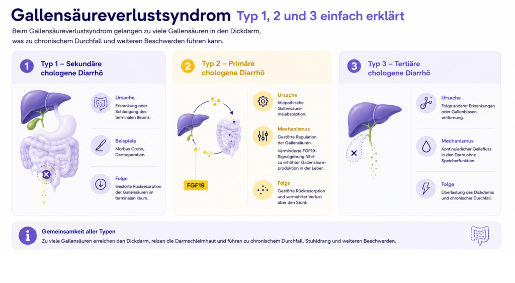 Infografik zu Gallensäureverlustsyndrom Typ 1, 2 und 3 mit Ursachen, Mechanismen und Folgen der chologenen Diarrhö.
